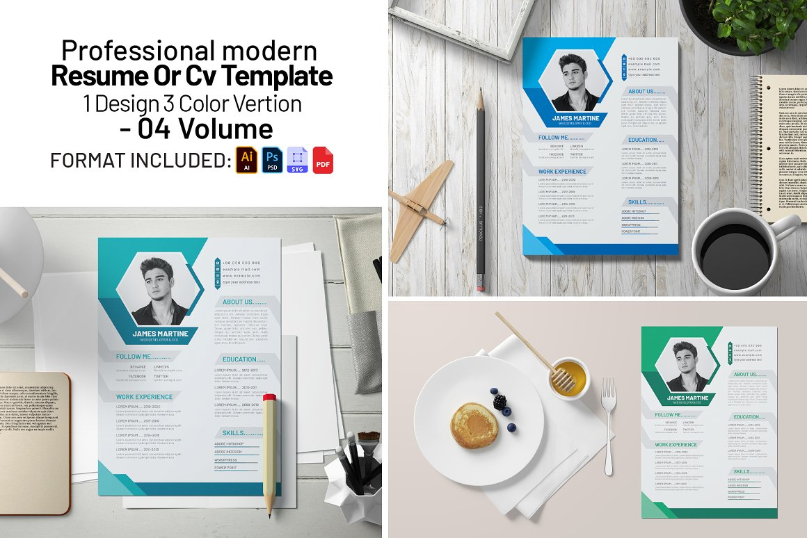 Professional Resume Or CV Templates