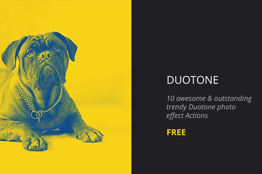 Free Duotone Photoshop Action